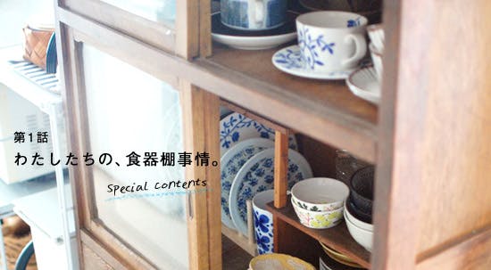 shokkidana_main01_2013051.jpg?