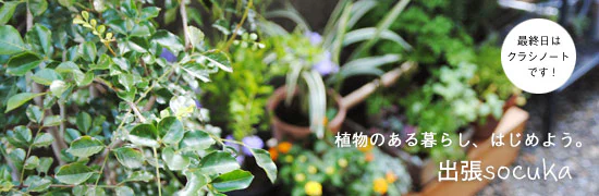 植物のある暮らし、はじめよう。