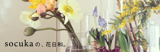 socukaの、花日和。
