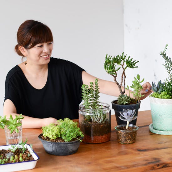 特集｜多肉とくらす】第一話：フラワーアーティストのsocukaさんに