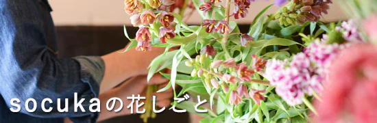 socukaさんの期間限定のショップ兼アトリエを訪ねました。