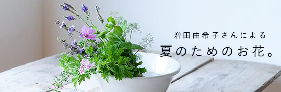 暑さを忘れる、夏の花。
