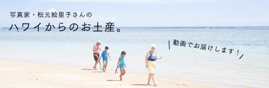 ハワイからのおみやげ