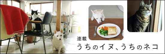 うちのイヌ、うちのネコ