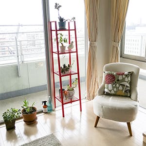 ポップからナチュラルに。インテリアの変化に合わせて買ったもの