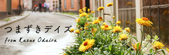 週末エッセイ「つまずきデイズ」