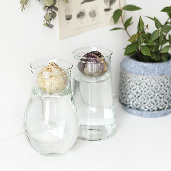 buy_voi_160926.jpg?auto=format