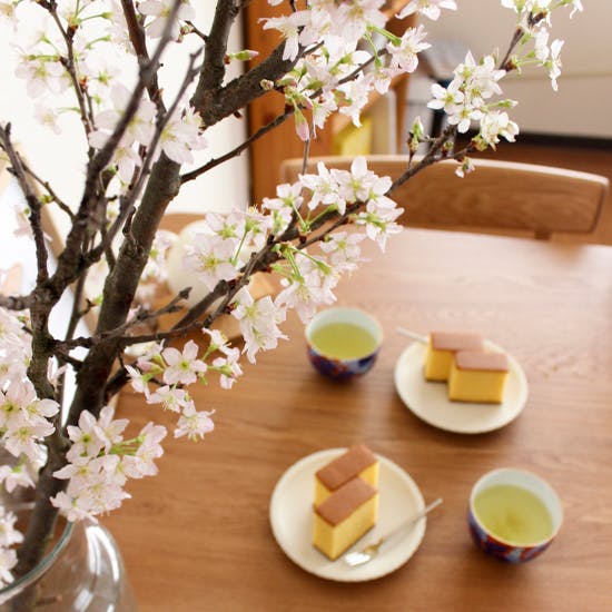 啓翁桜の開花を楽しみながら、「お家でお花見」してみました。 - 北欧