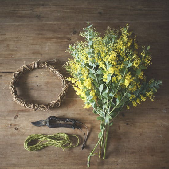 ＊ Natural＊ころころミモザとブルーアイスのリース＊ドライフラワーリース Natural＊ころころミモザとブルーアイスのリース＊ドライ