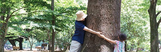 子どもと楽しむ「木育」の世界
