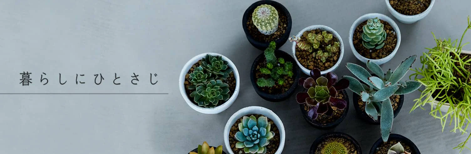 多肉植物、育て方図鑑
