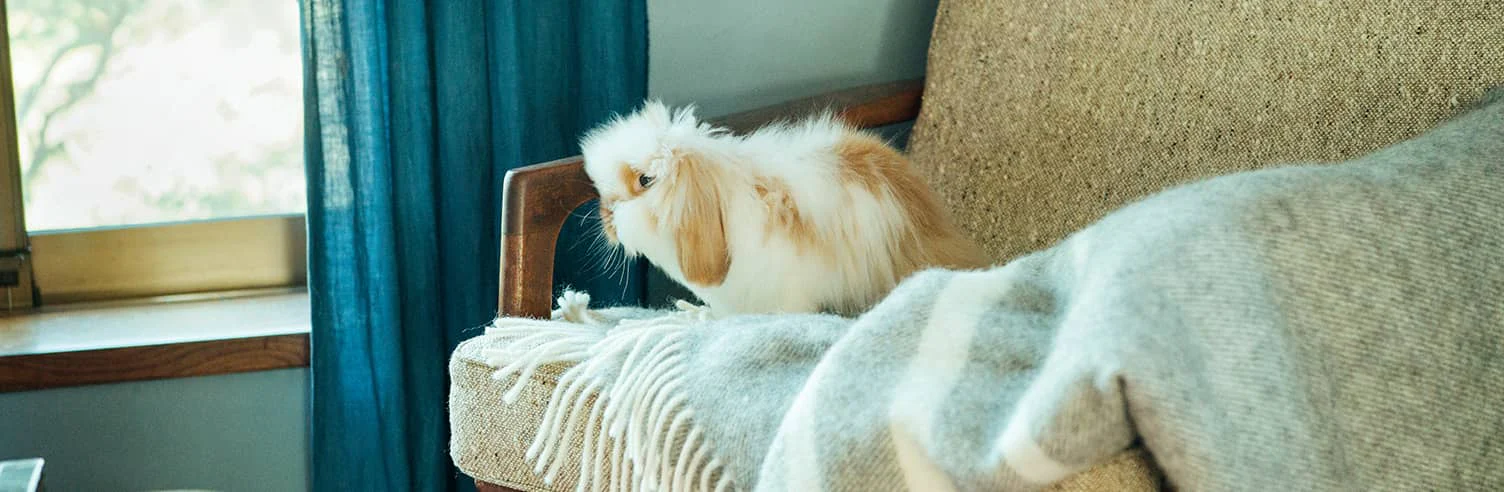 北欧のブランケットと、冬の暮らし。
