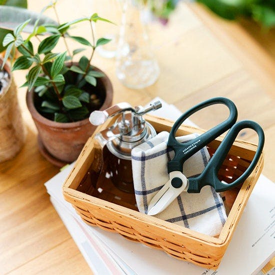 雑貨のはなしをしよう】暮らしに花とリズムを。〈KURASHI&Trips