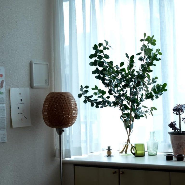 スタッフのおすすめ商品「グリーンでかんたん模様替え」