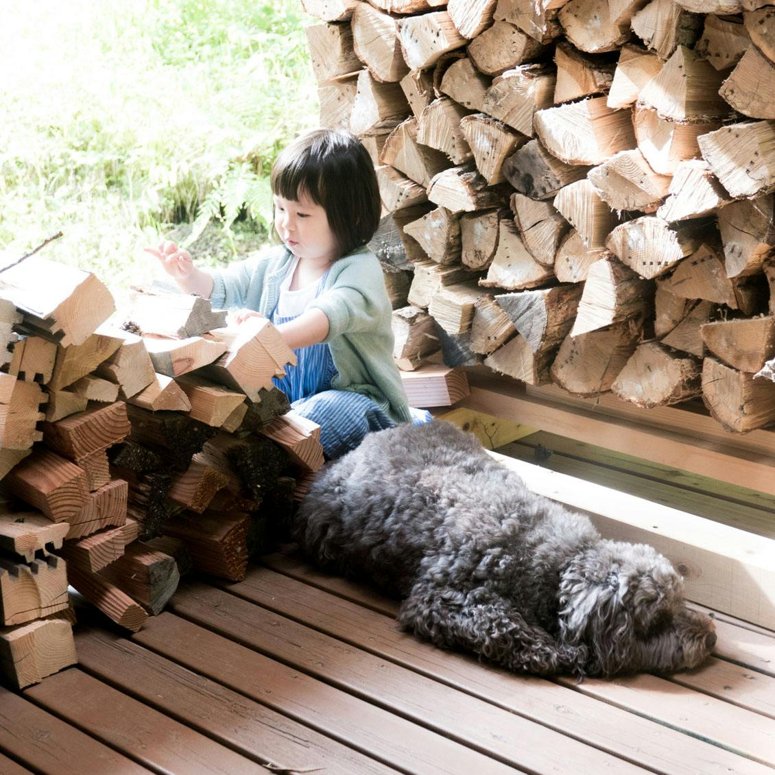 うちのイヌ、うちのネコ】娘さんと犬のやりとりが微笑ましい。写真家