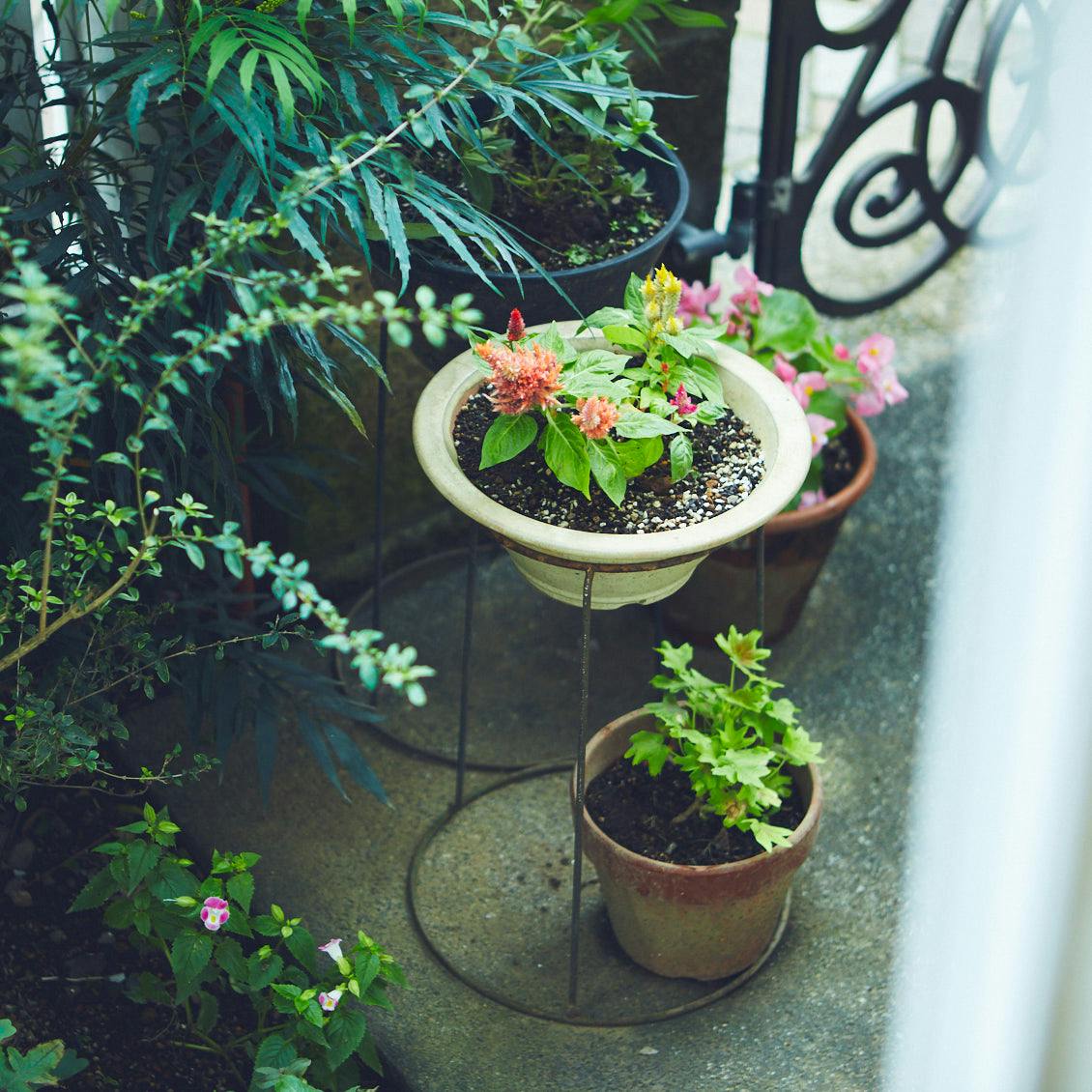 レシート、拝見】日日草の咲く庭に、鈴虫の声 - 北欧、暮らしの道具店