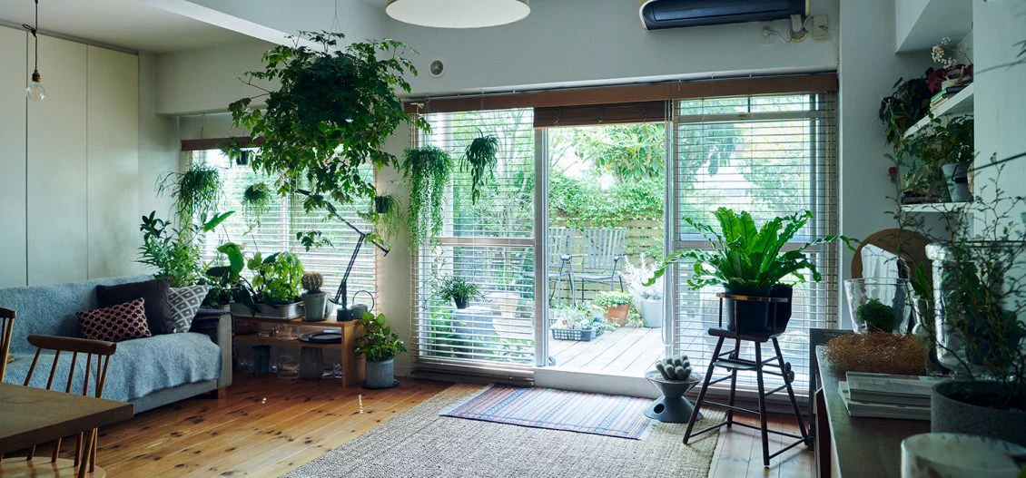 植物のある暮らし