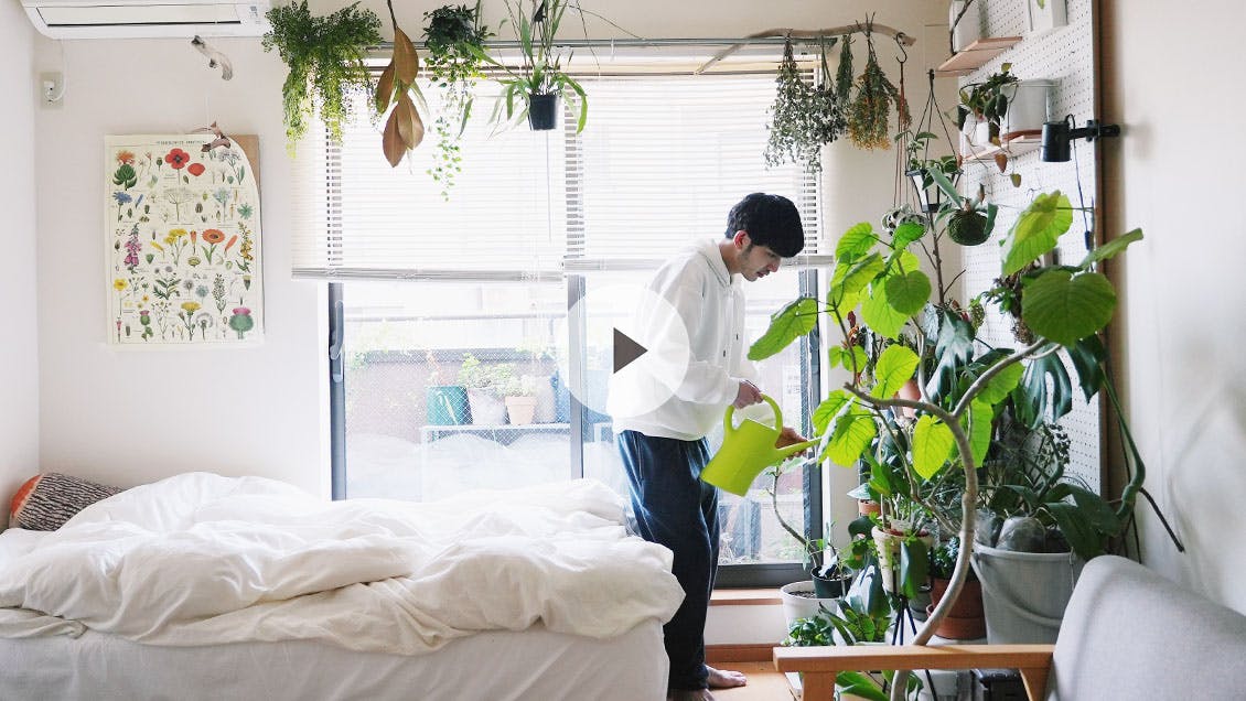 わたしの朝習慣 #33 香りの良い飲み物を片手に植物観察。リラックスと共にある、まるで園芸店のようなお部屋（熊木健二さん）