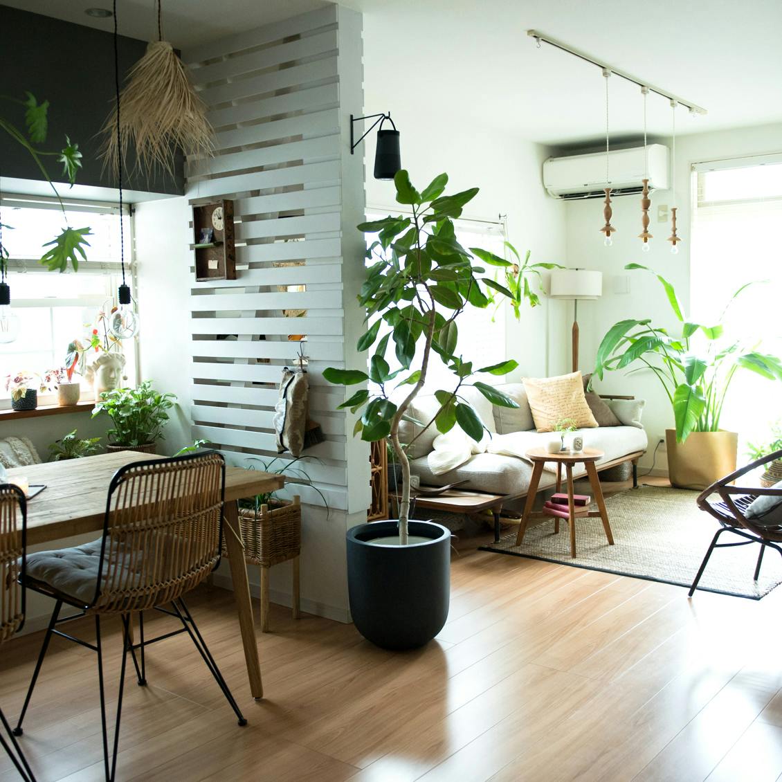 DSC_80531.jpg?auto=format,