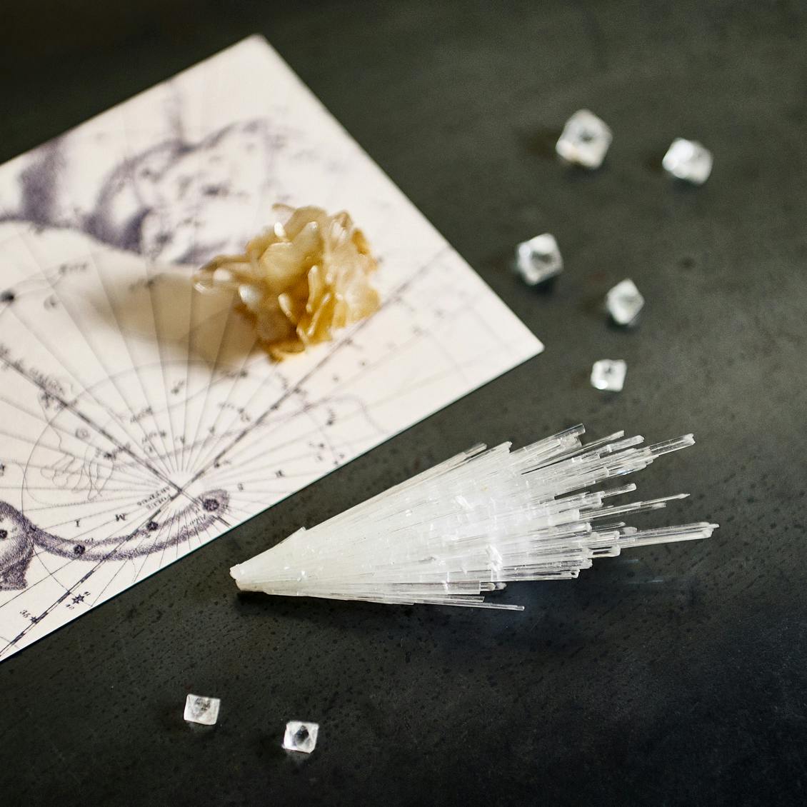 220608_koubutsubar_0226_1.jpg?