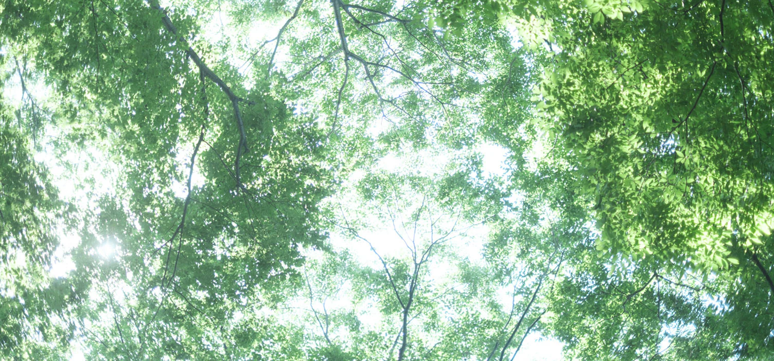 夏の不調をゆる改善