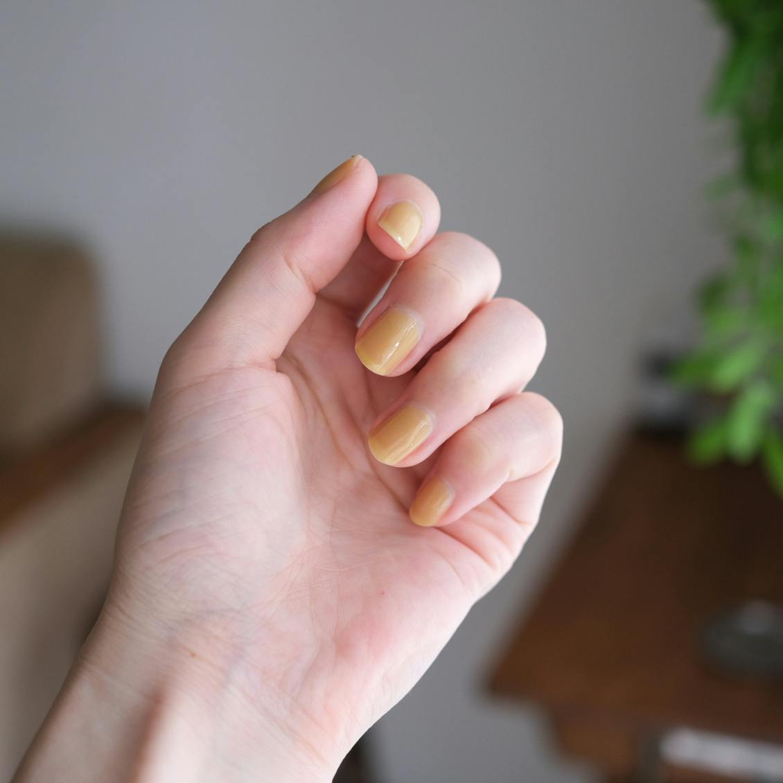 使用レビュー】数量限定！夏色ネイルをスタッフ3名が試してみました