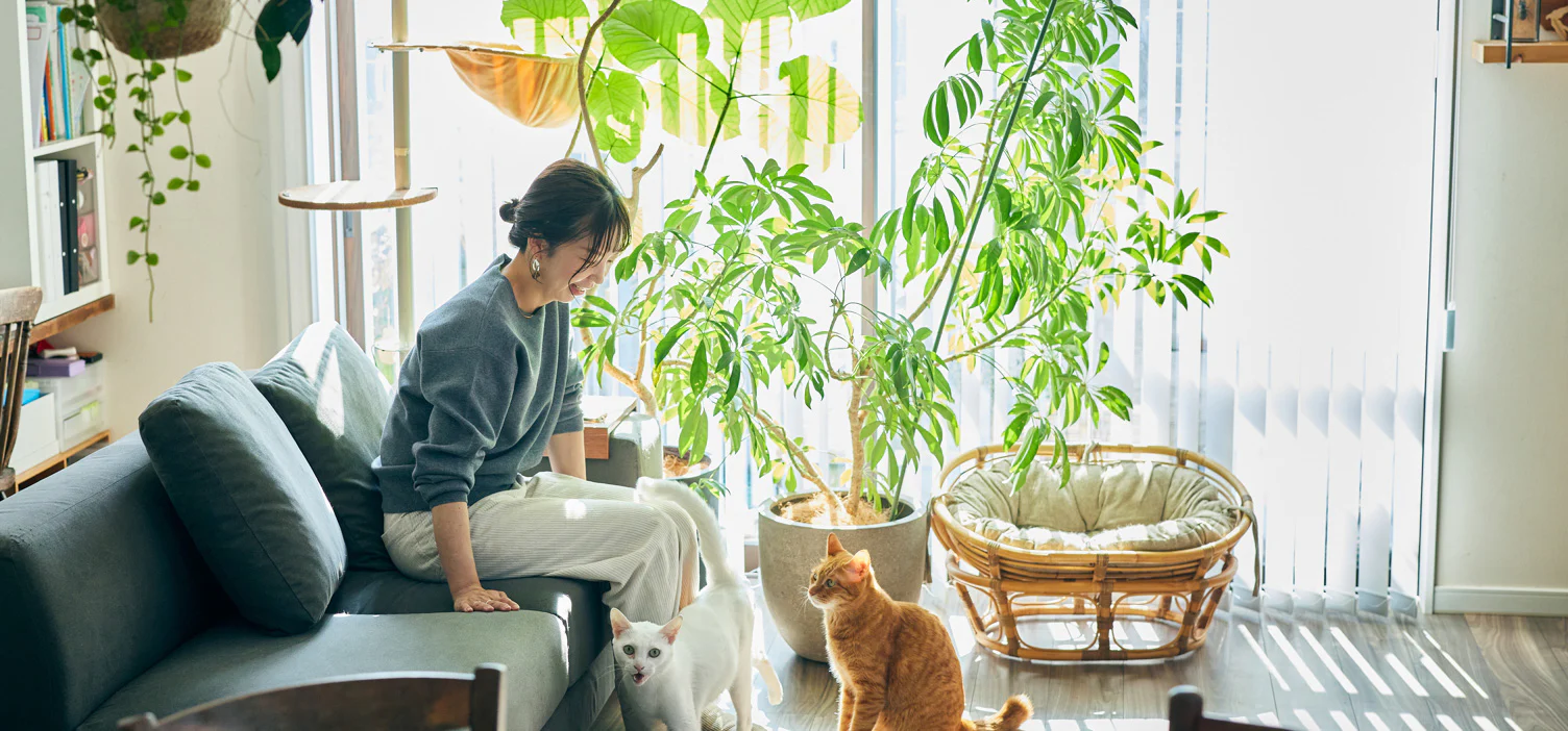 自分にマルをあげるアルバム