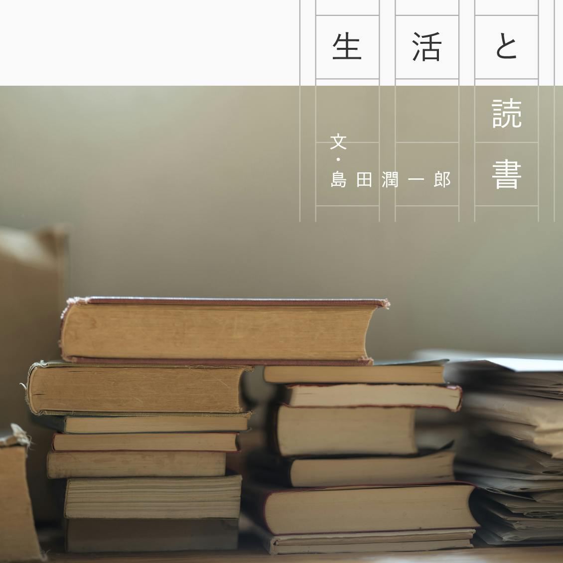 ヨンマル 室蘭地方史研究 21冊 一冊でわかるオランダ史 (世界と日本