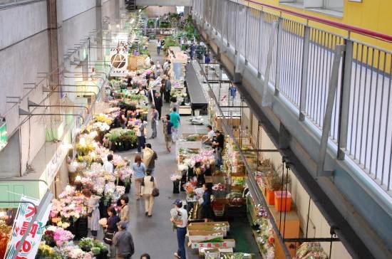 特集 花屋のまかない 第7話 花市場へお連れします 北欧 暮らしの道具店 特集 花屋のまかない 第7話 花市場へお連れします 北欧 暮らしの道具店