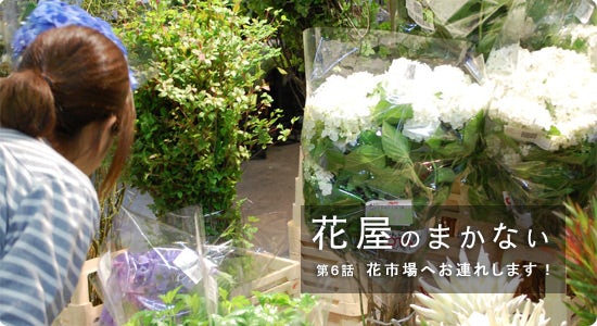 特集 花屋のまかない 第7話 花市場へお連れします 北欧 暮らしの道具店 特集 花屋のまかない 第7話 花市場へお連れします 北欧 暮らしの道具店