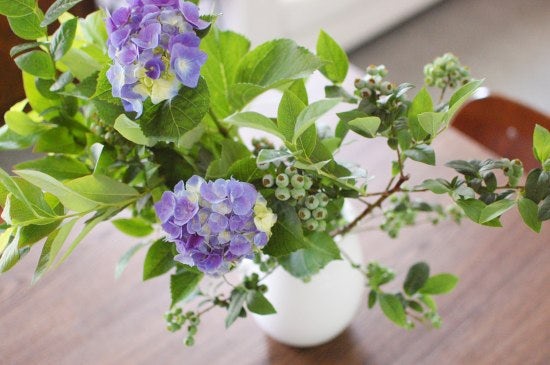 特集 花屋のまかない 第4話 紫陽花の季節には 北欧 暮らしの道具店