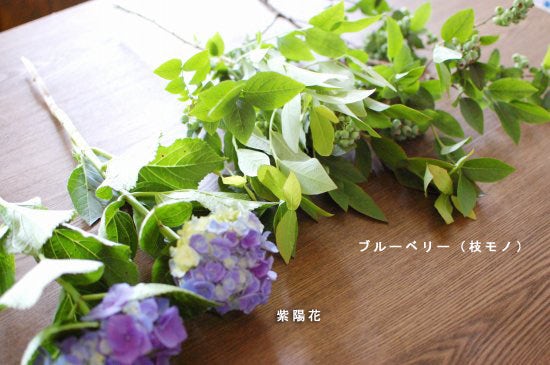 特集 花屋のまかない 第4話 紫陽花の季節には 北欧 暮らしの道具店 特集 花屋のまかない 第4話 紫陽花の季節には 北欧 暮らしの道具店