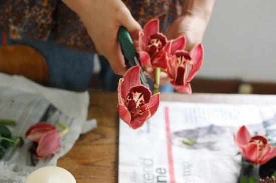 特集 花屋のまかない 第11話 おもてなしのためのサプライズアレンジ 北欧 暮らしの道具店