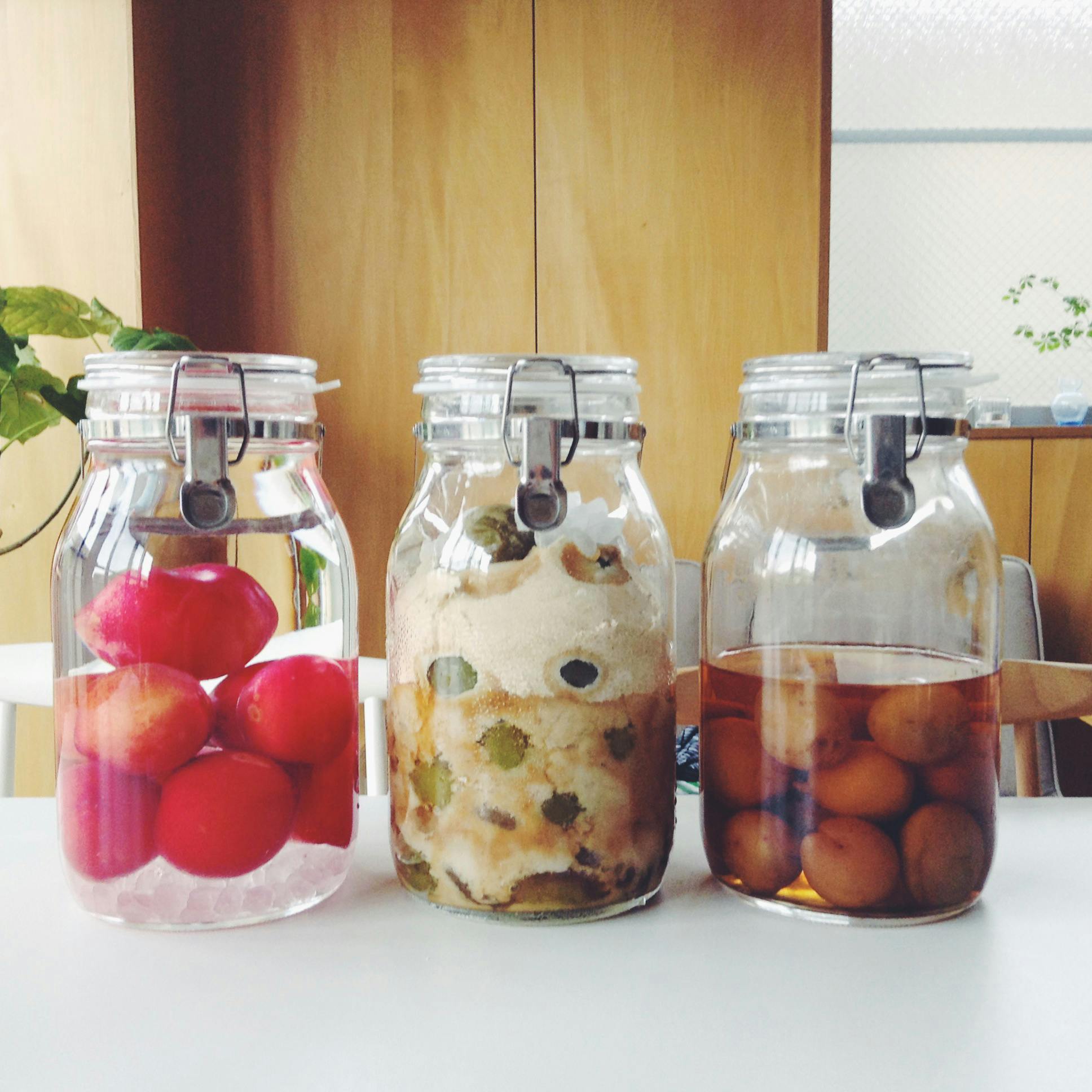 スタッフの愛用品 セラーメイト取っ手付き密封瓶2ｌ 北欧 暮らしの道具店