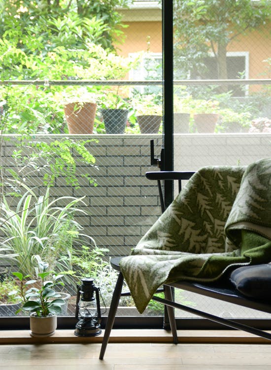 ブランケット特集】mina perhonenのブランケットがある、冬の風景