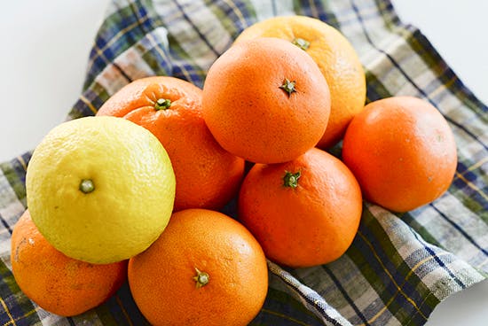 ジャム再販 たっぷり8種類の柑橘を詰め込んだママレード 再登場 北欧 暮らしの道具店