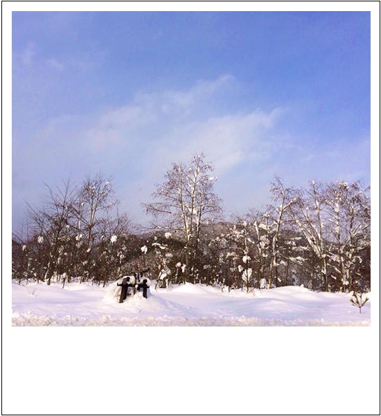 kurashigotonihon_snow