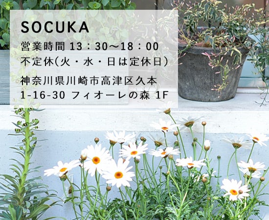 socuka_shop_20150512