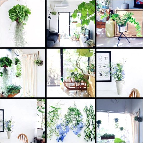 店長コラム 植物の写真ばかりだった めずらしくアクティブだったシルバーウィーク 北欧 暮らしの道具店 店長コラム 植物の写真ばかりだった めずらしくアクティブだったシルバーウィーク 北欧 暮らしの道具店