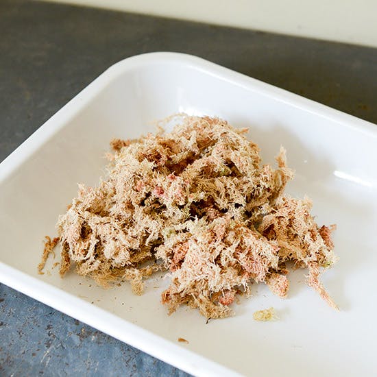 ここから始める多肉ライフ 第2話 意外と知らない 多肉に合った 鉢と土の選びかた 北欧 暮らしの道具店