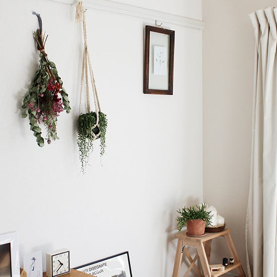 リビングの観葉植物の選び方と飾り方が知りたい 北欧 暮らしの道具店