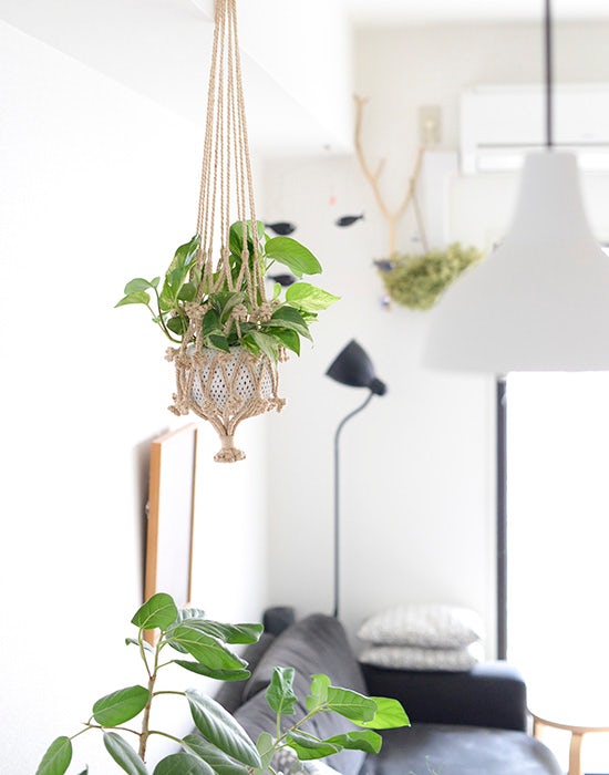 子どもがいても安心のインテリアに観葉植物を置く時のアイデア 北欧 暮らしの道具店 子どもがいても安心のインテリアに観葉植物を置く時のアイデア 北欧 暮らしの道具店