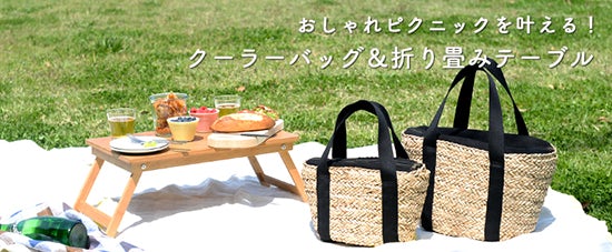 picnic_l_160421