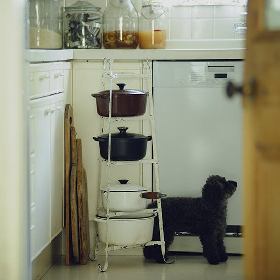 モデル・雅姫さんの、ホーロー鍋・ルクルーゼとのすてきな暮らし