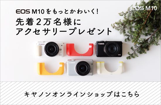 いい写真が撮りたい！ミラーレスカメラの撮り方、ぼかし方 - 北欧