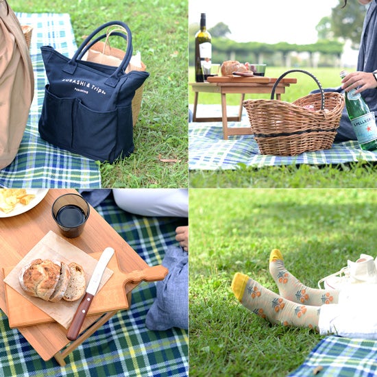 550_picnic