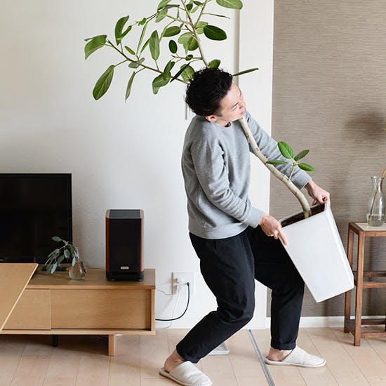 大きな観葉植物の水やりも移動もラクに！キャスター付き鉢皿 - 北欧