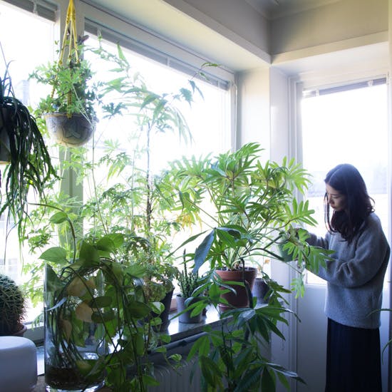 新連載】プロローグ：スウェーデンの暮らしを覗く、特集『Fikaにお邪魔