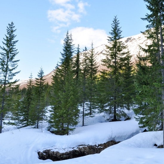 ノルウェー海外移住日記 北極圏の春は雪解けから始まる 北欧 暮らしの道具店 ノルウェー海外移住日記 北極圏の春は雪解けから始まる 北欧 暮らしの道具店