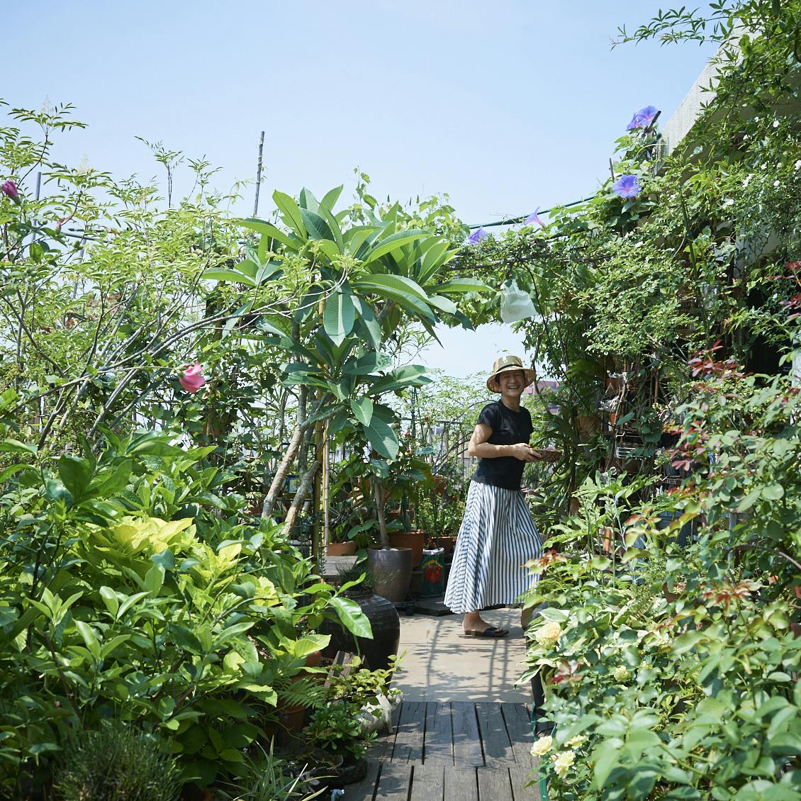 ベランダで家庭菜園！食事もできるテラスつき、居心地のいいベランダ